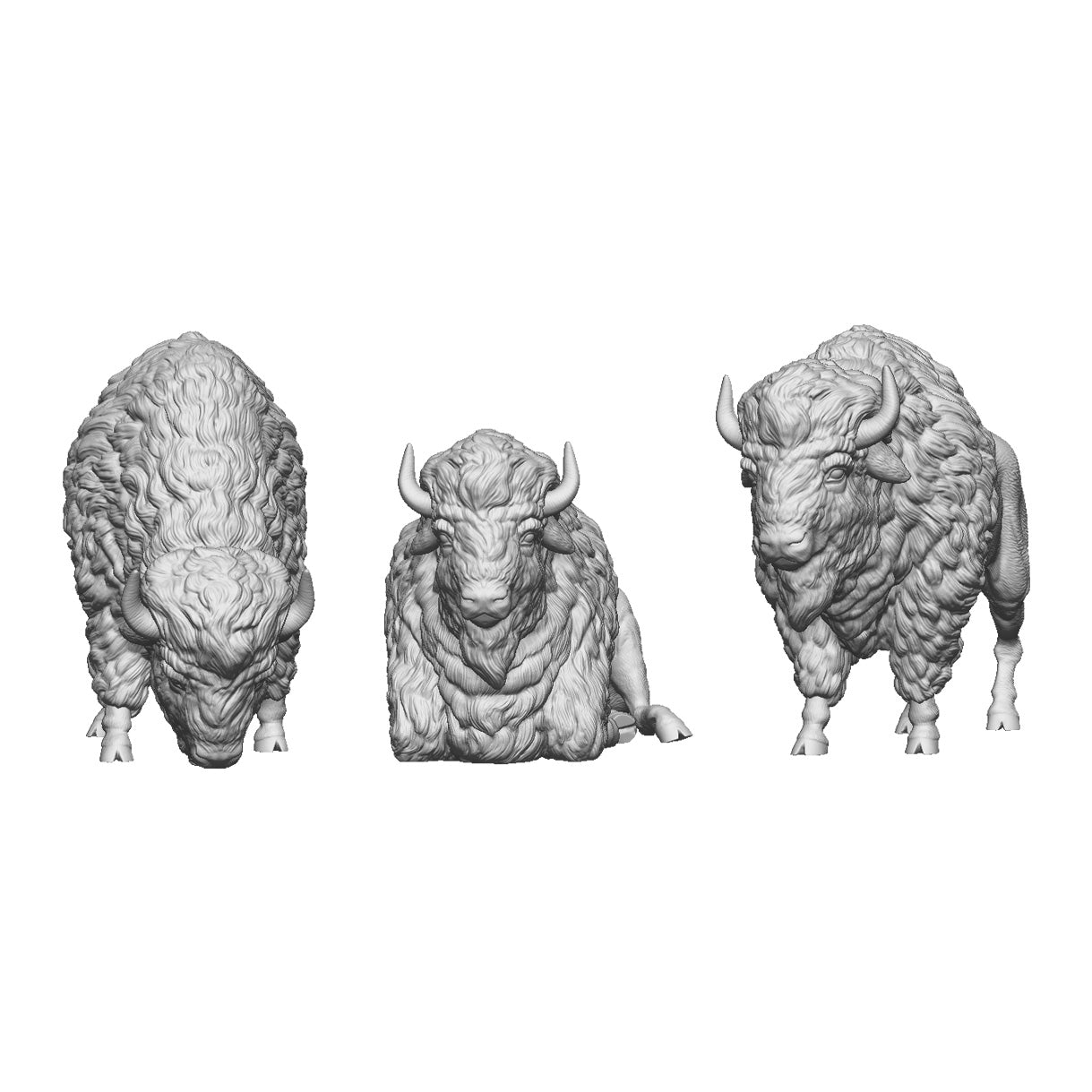 A pack of bison x3
