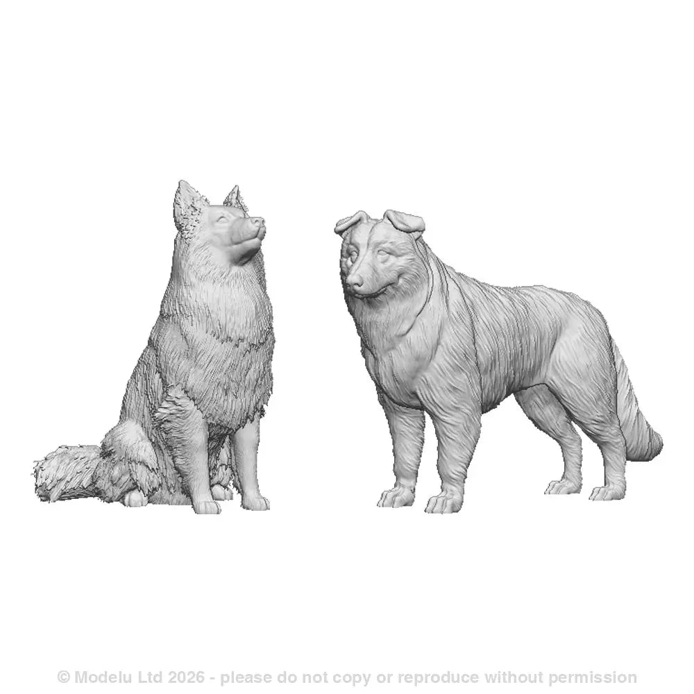 O 31011 Shetland Sheep Dogs O Small Detail Pack