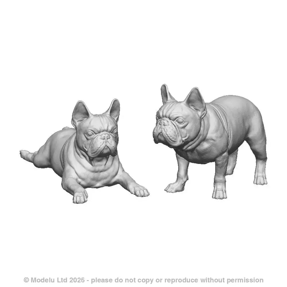 31015 French Bulldogs