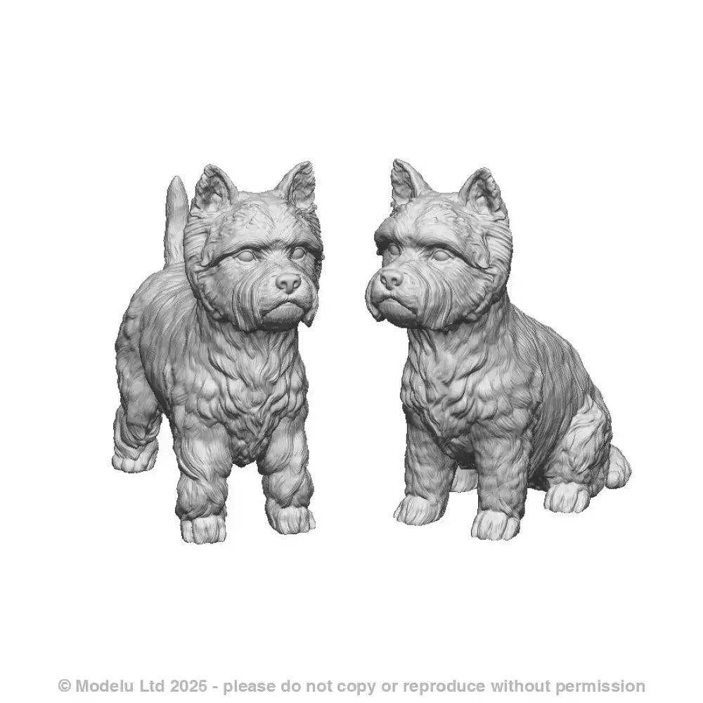 31018 West Highland Terriers