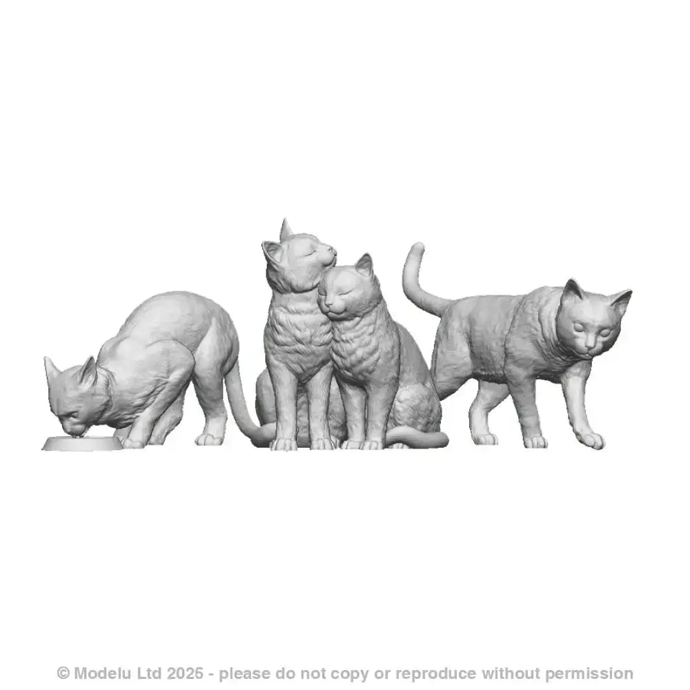 A pack of cats
