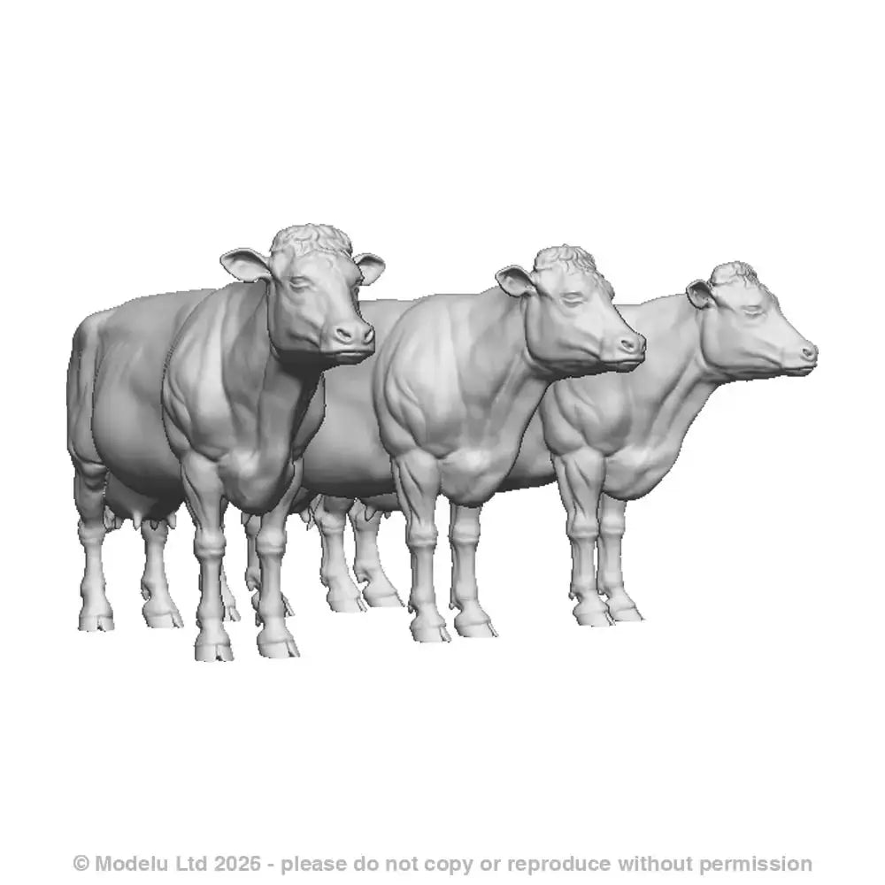 A pack of dairy cattle x3