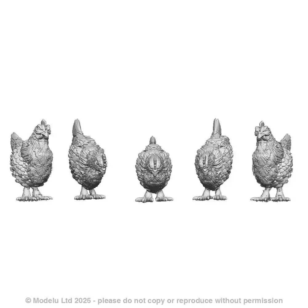 A pack of chickens x5