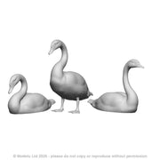 31407 Swans