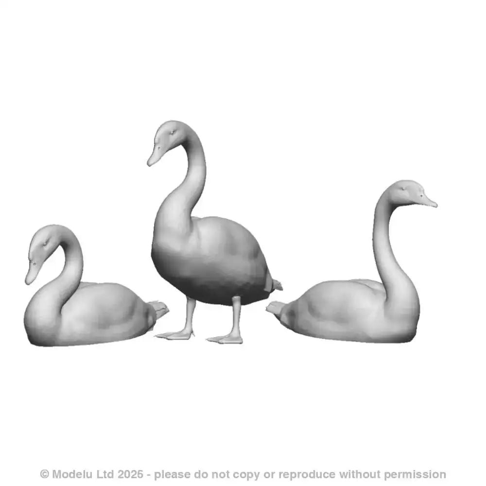 31407 Swans