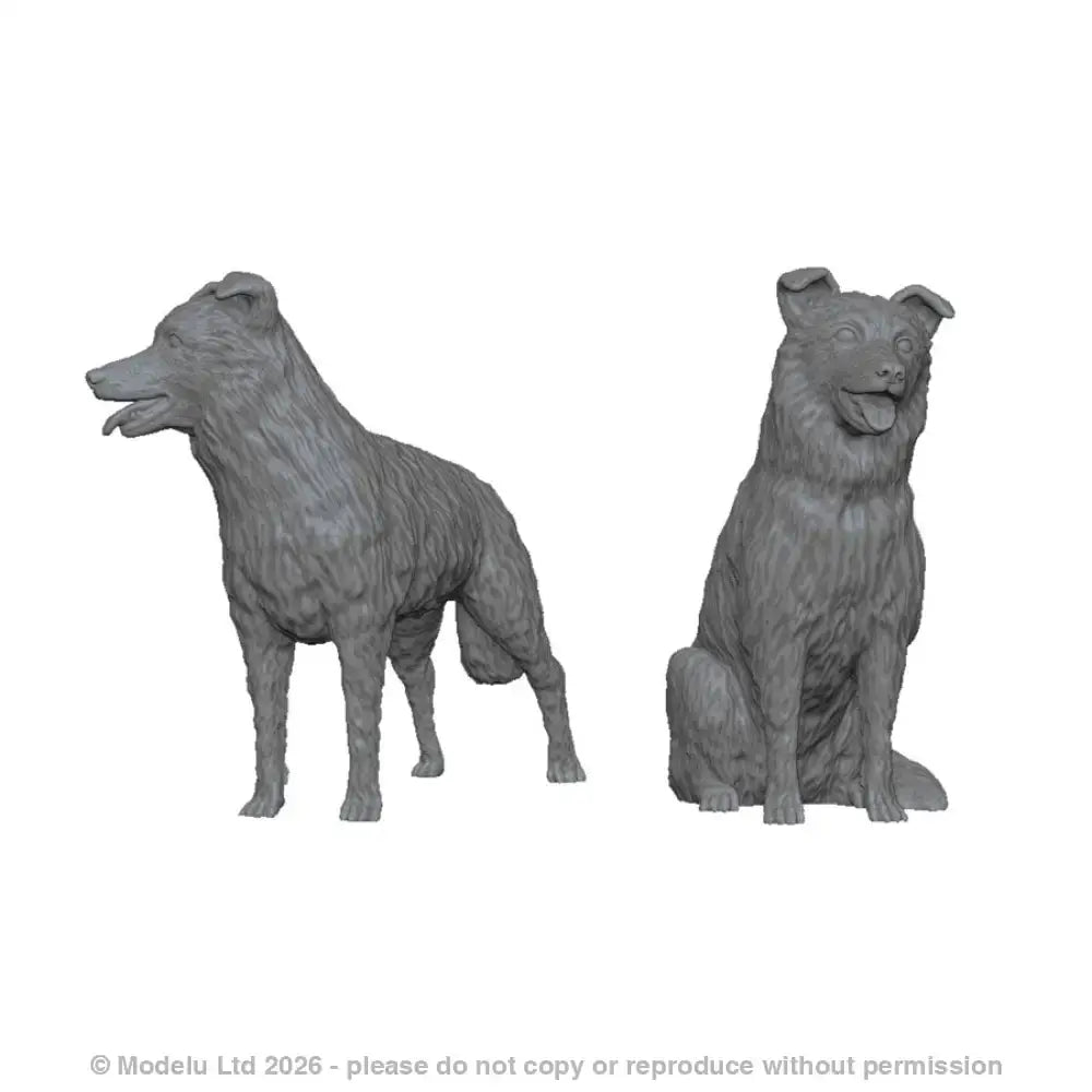 TT 31000 Border Collie x2